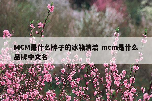 MCM是什么牌子的冰箱清洁mcm是什么品牌中文名(mcm清洁怎么清洗)