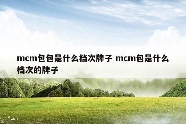mcm包包是什么档次牌子mcm包是什么档次的牌子(mcm是什么档次)